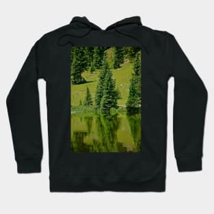 Lake Irene 2018 Study 18 Hoodie